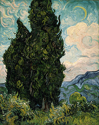 Cypresses Vincent van Gogh